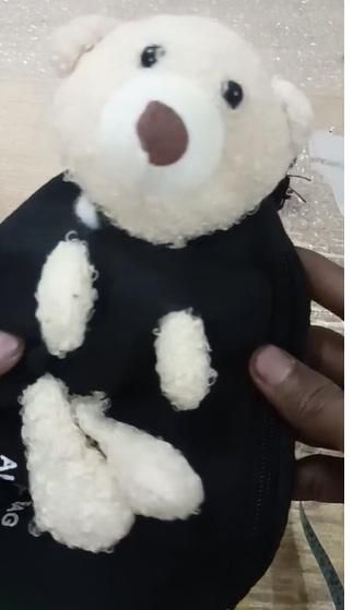 New Cute Plush Teddy Bear Chest Bag, Women's Canvas Crossbody Bag