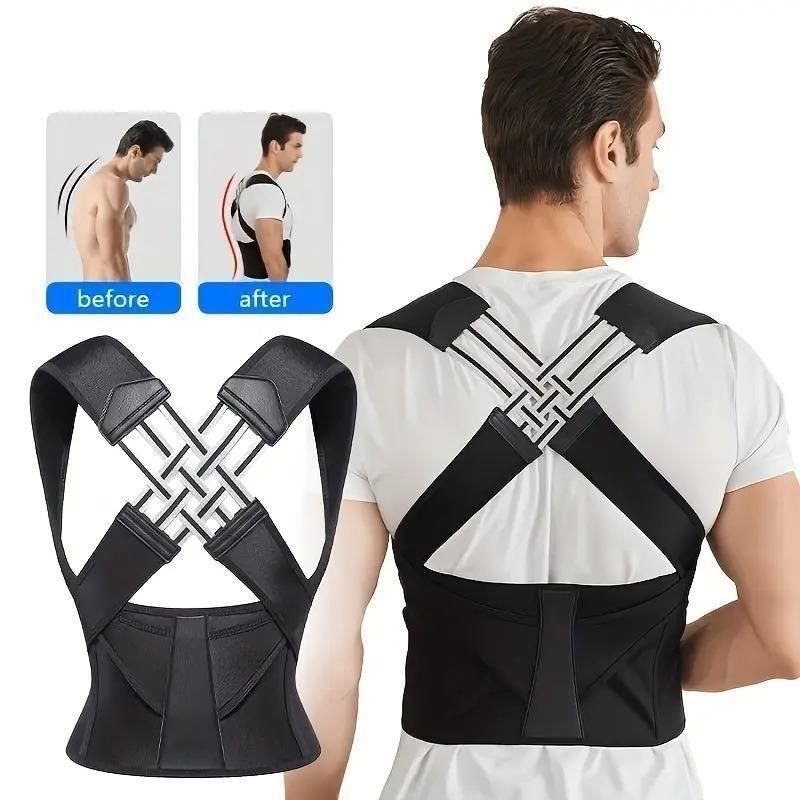 Back Support Belt