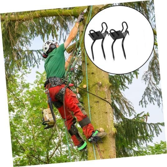 Tree Climbing Gear